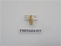 藏品(雙線苔蛾)的圖片